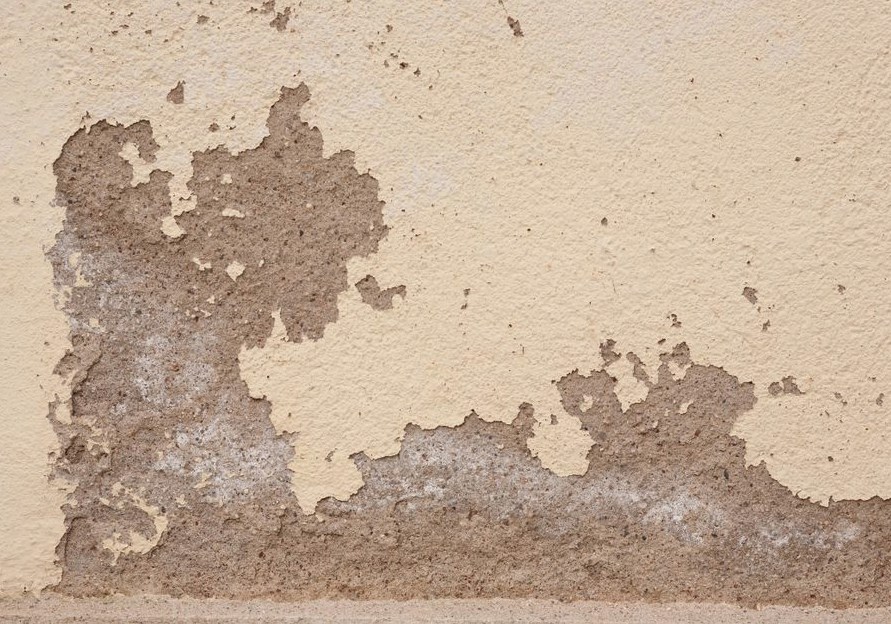 Foundation Repair services in Rockwall — detail view